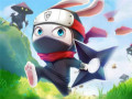 Oyunlar Ninja Rabbit